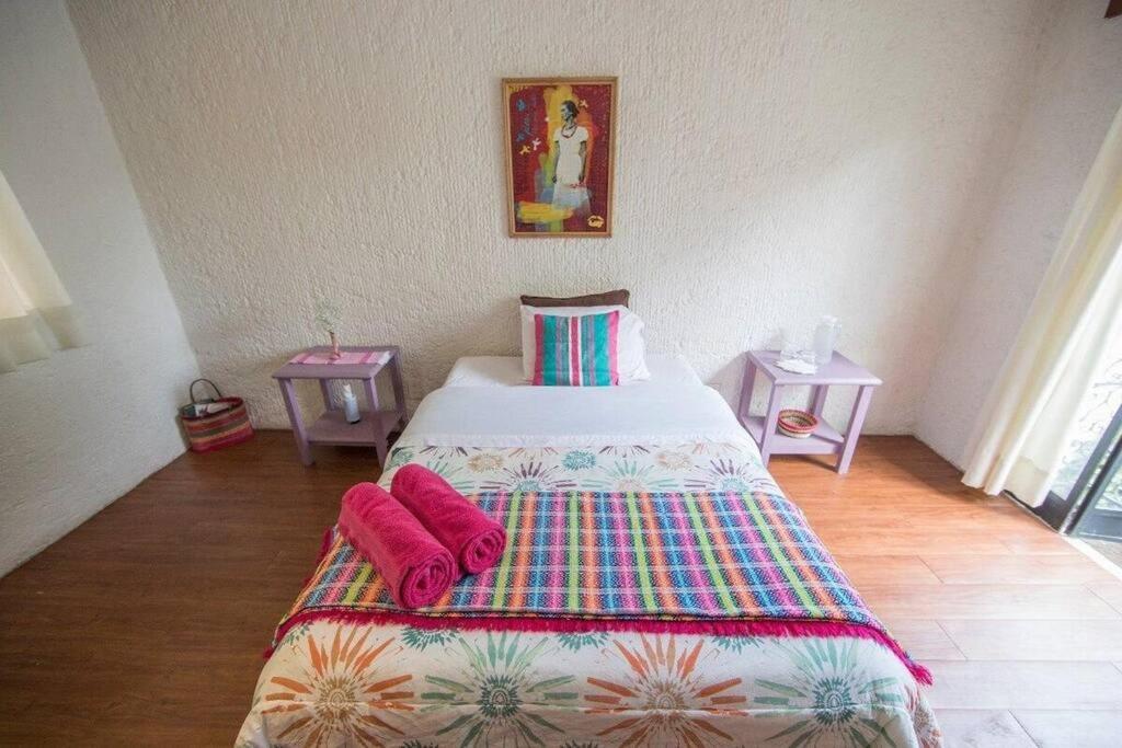 Villa Casa Ayvar. Espectacular Villa Colonial En El Corazon De Coyoacan. 멕시코 시 외부 사진