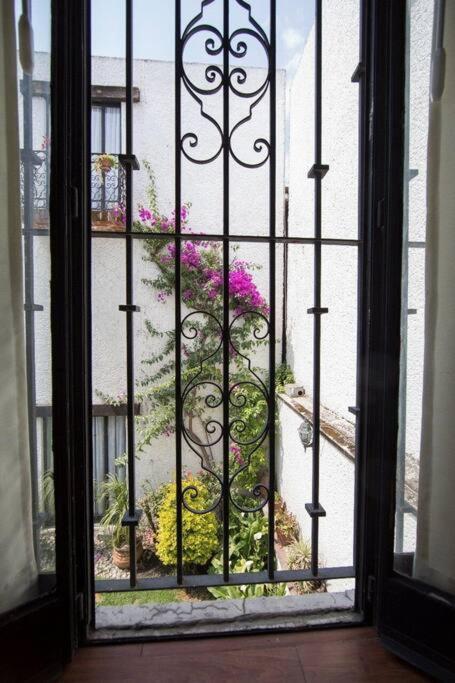 Villa Casa Ayvar. Espectacular Villa Colonial En El Corazon De Coyoacan. 멕시코 시 외부 사진